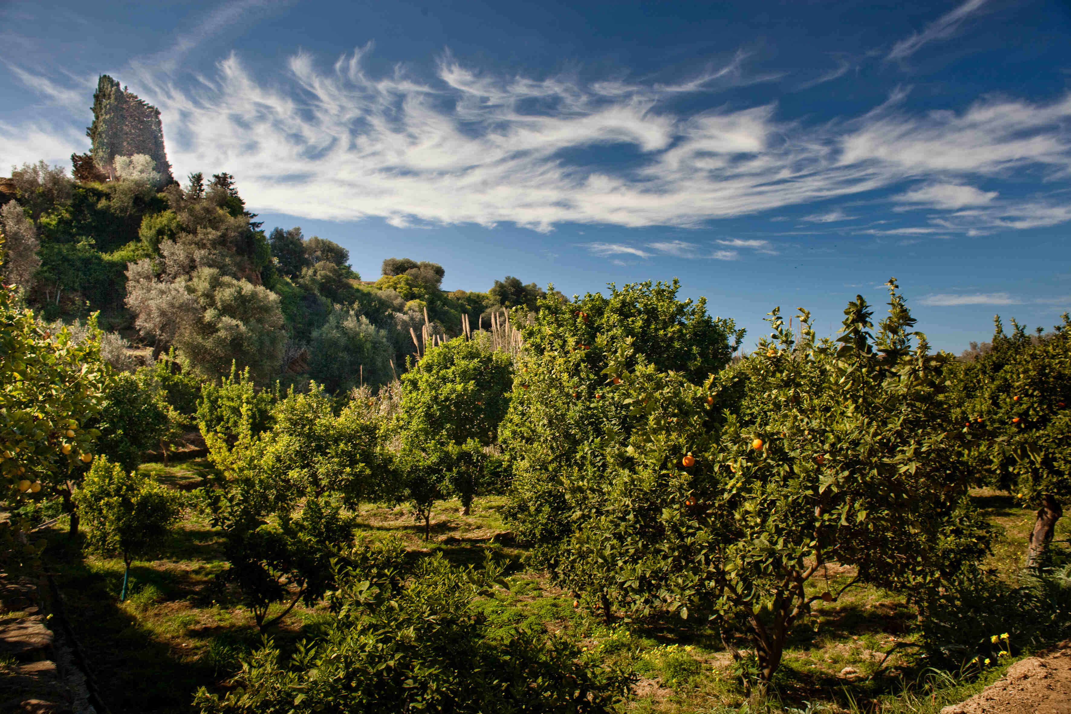 Giardino della Kolymbethra